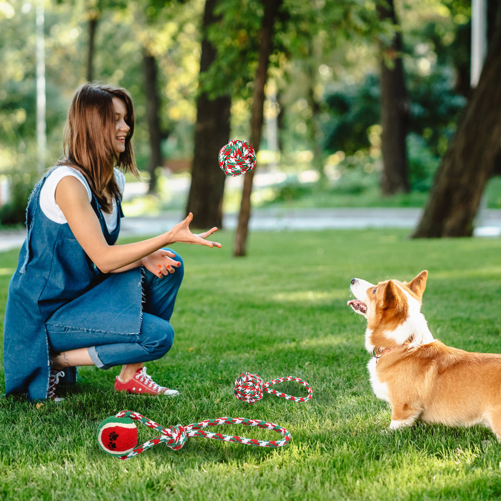 Christmas Dog Chew Rope - Set Of 5Pcs Toys Dog Interactive Toys Set For Puppy Small Medium Aggressive Chewers Dogs Training Teething Playing