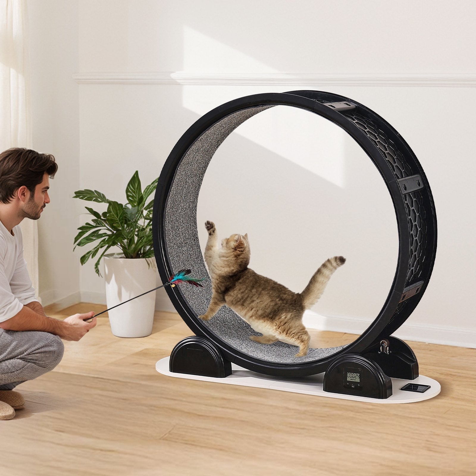 Cat Exercise Wheel With Pedometer Cat Treadmill For Pet Health Black