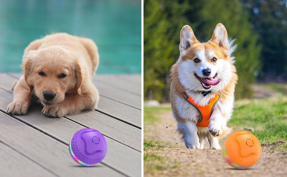 Dog Toys Ball, Automatic Rolling Toy, Lively Pet Ball For Medium, Large Dogs To Relieve Boredom, Activated Automatic Motion Dog Balls Toy With LED Flash, USB Rechargeable Orange Purple Interactive