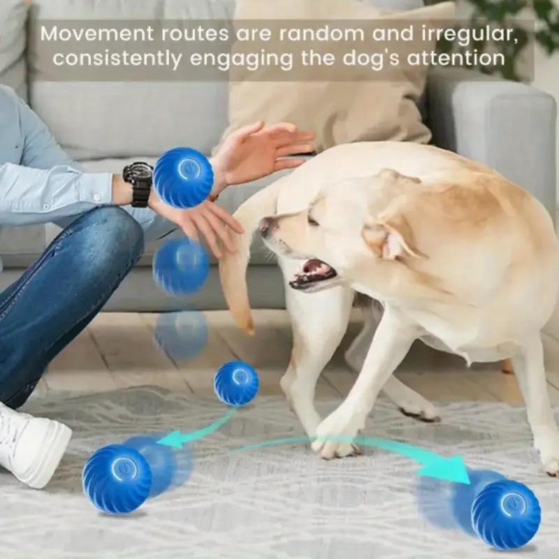 Blue And Orange Pet Bouncing Ball Fun Pet Bouncing Ball For Cats And Dogs