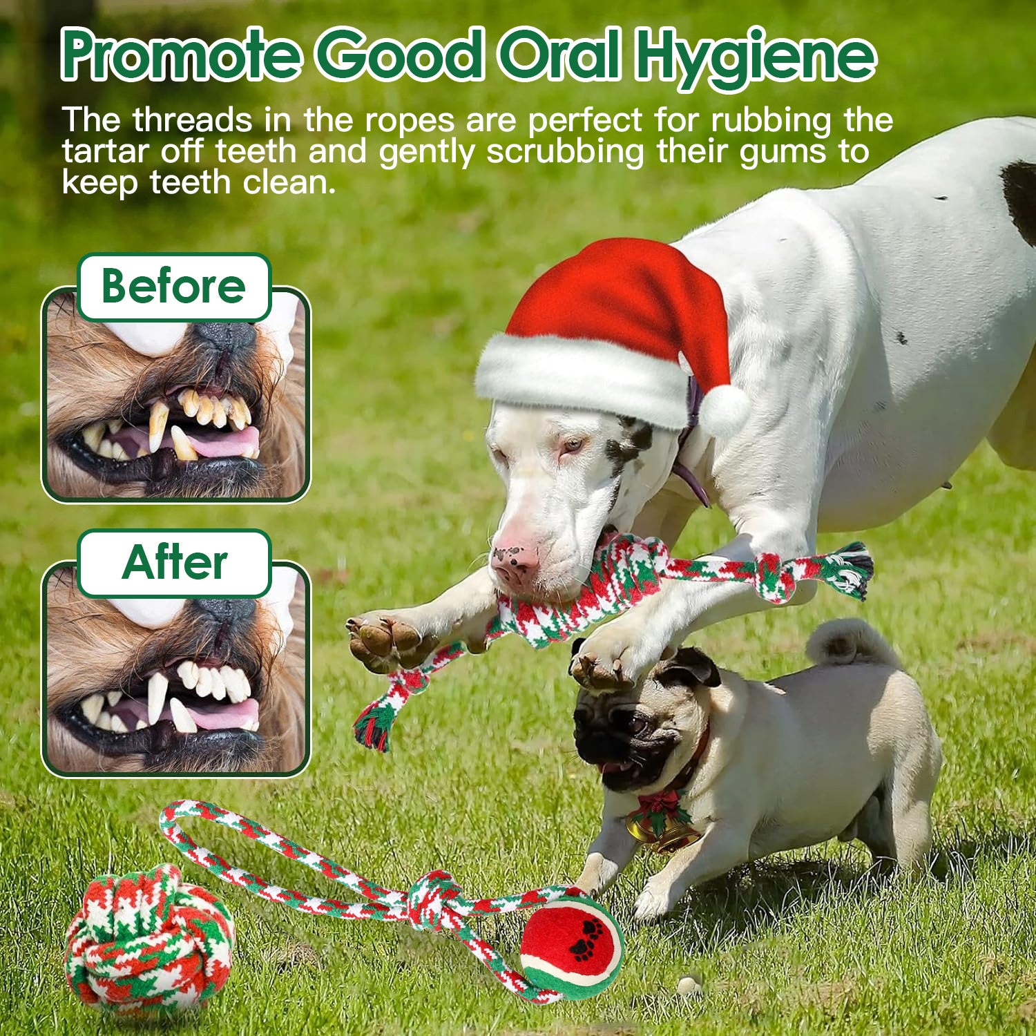 Christmas Dog Chew Rope - Set Of 5Pcs Toys Dog Interactive Toys Set For Puppy Small Medium Aggressive Chewers Dogs Training Teething Playing