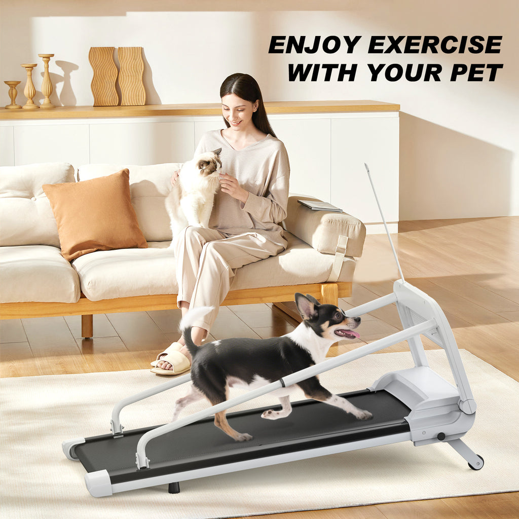 Pet Treadmill-New Quiet Smart Pet Treadmill, Adjustable Speed, Perfect For Small Medium Dogs