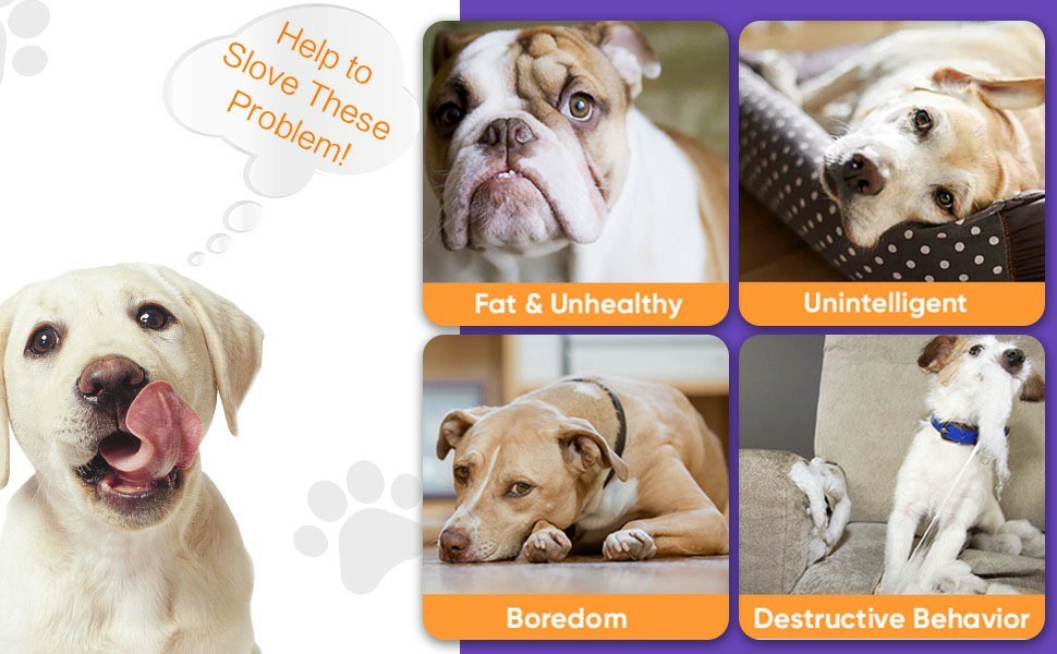 Dog Toys Ball, Automatic Rolling Toy, Lively Pet Ball For Medium, Large Dogs To Relieve Boredom, Activated Automatic Motion Dog Balls Toy With LED Flash, USB Rechargeable Orange Purple Interactive