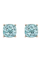 Ae0333-Glitter Epoxy Stud Earrings
