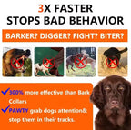Dog Trainer 2025 New-Black Friday Sale