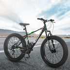 ECARPAT Mountain Bike Bicycle S26109-BLACK-GREEN